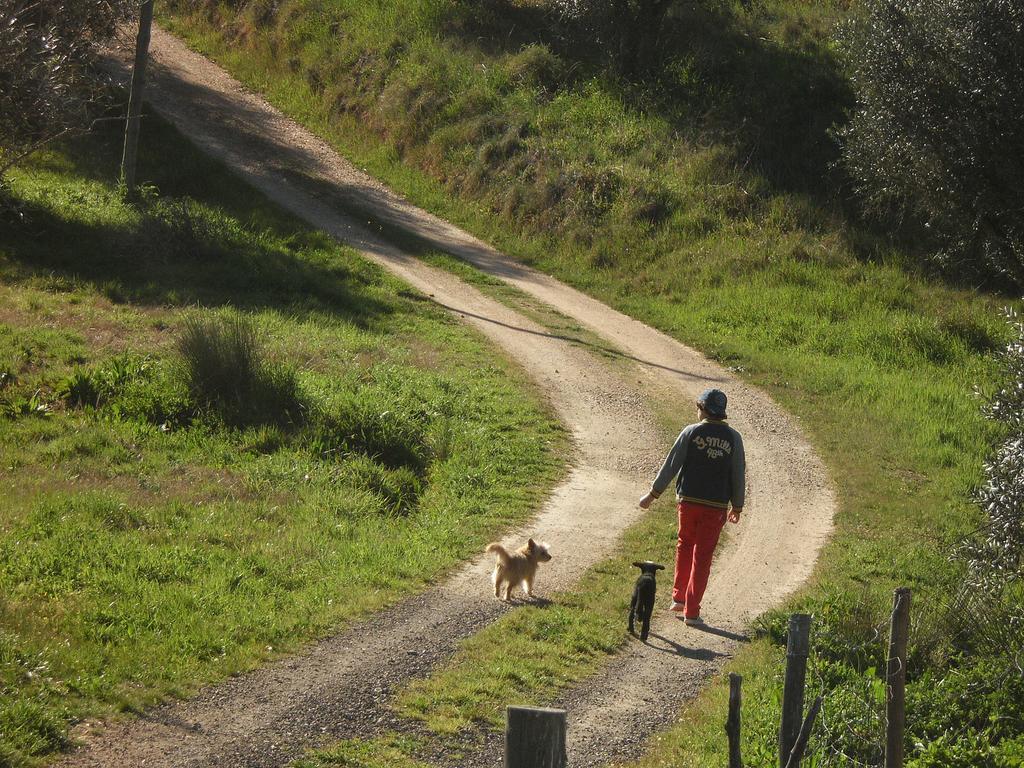 Monte Da Courela Hotel Malarranha Luaran gambar